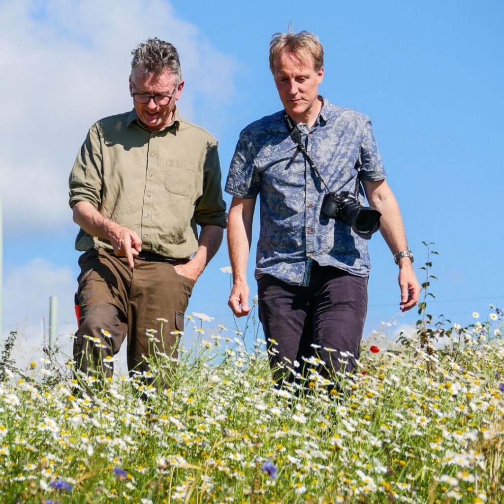 Andy Gray walking through Silvopasture meadow with Tim from Farm Wilder