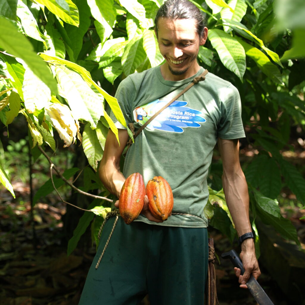 man with cacao fruits